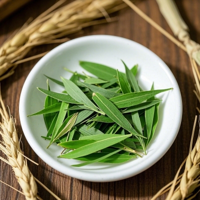 淡竹叶