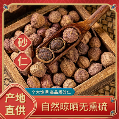 春砂仁