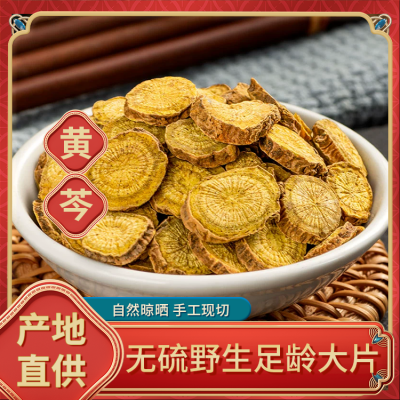 黄芩